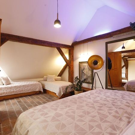 Český Krumlov Wellness Pension Ametyst المظهر الخارجي الصورة
