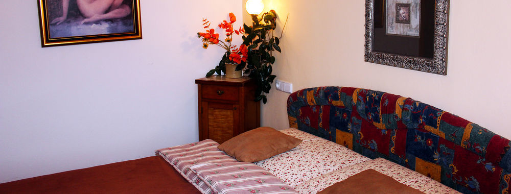 Český Krumlov Wellness Pension Ametyst المظهر الخارجي الصورة